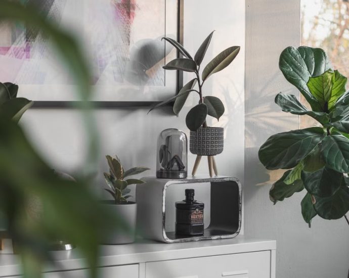 Stylish indoor space with lush houseplants and modern decor elements in natural light.